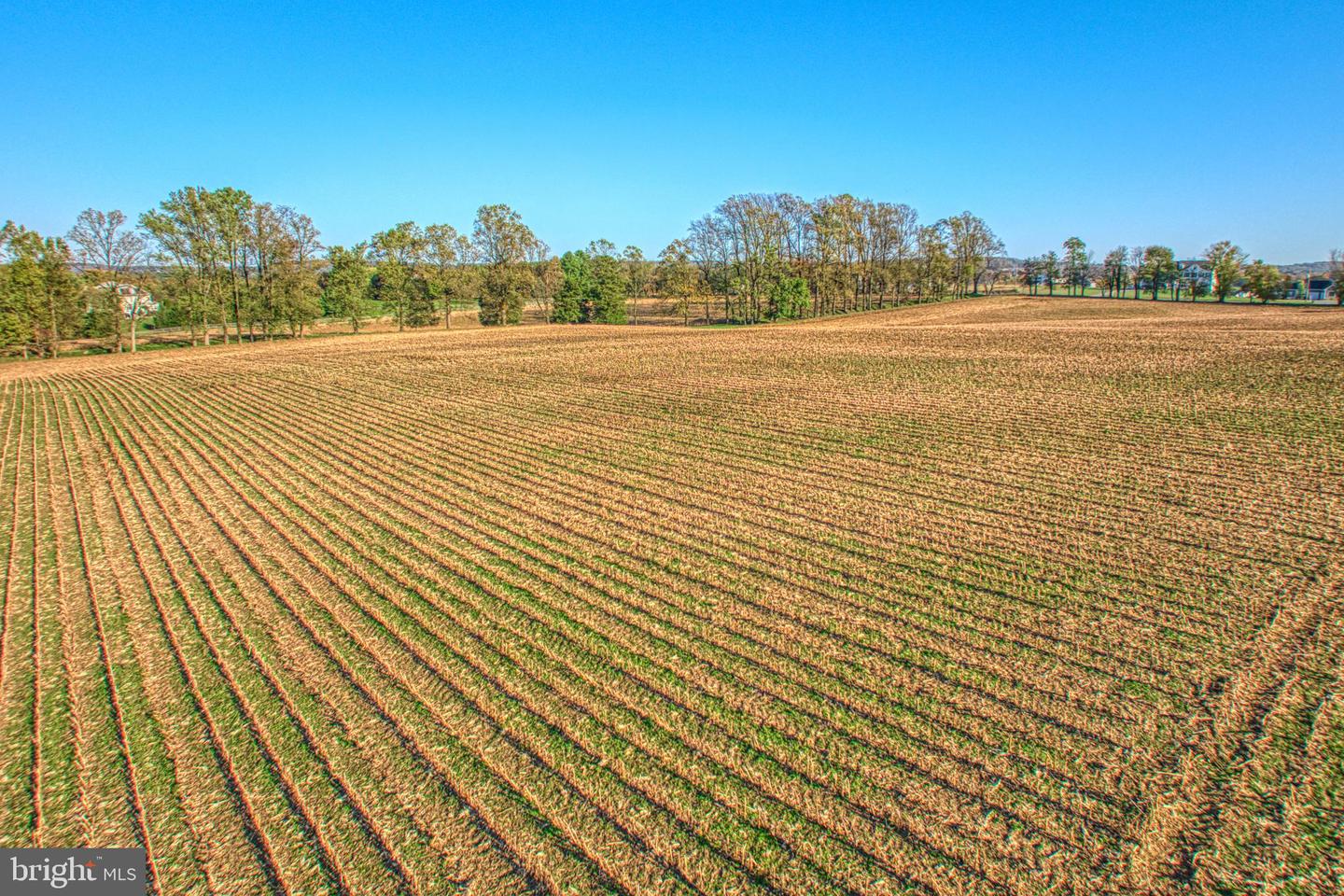 38678 PIGGOTT BOTTOM RD, HAMILTON, Virginia 20158, 4 Bedrooms Bedrooms, ,2 BathroomsBathrooms,Residential,For Sale,38678 PIGGOTT BOTTOM RD,VALO2088172 MLS # VALO2088172