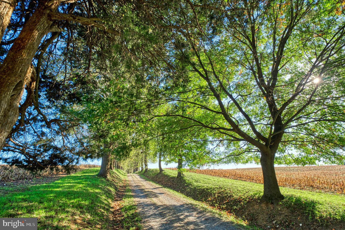 38678 PIGGOTT BOTTOM RD, HAMILTON, Virginia 20158, 4 Bedrooms Bedrooms, ,2 BathroomsBathrooms,Residential,For Sale,38678 PIGGOTT BOTTOM RD,VALO2088172 MLS # VALO2088172