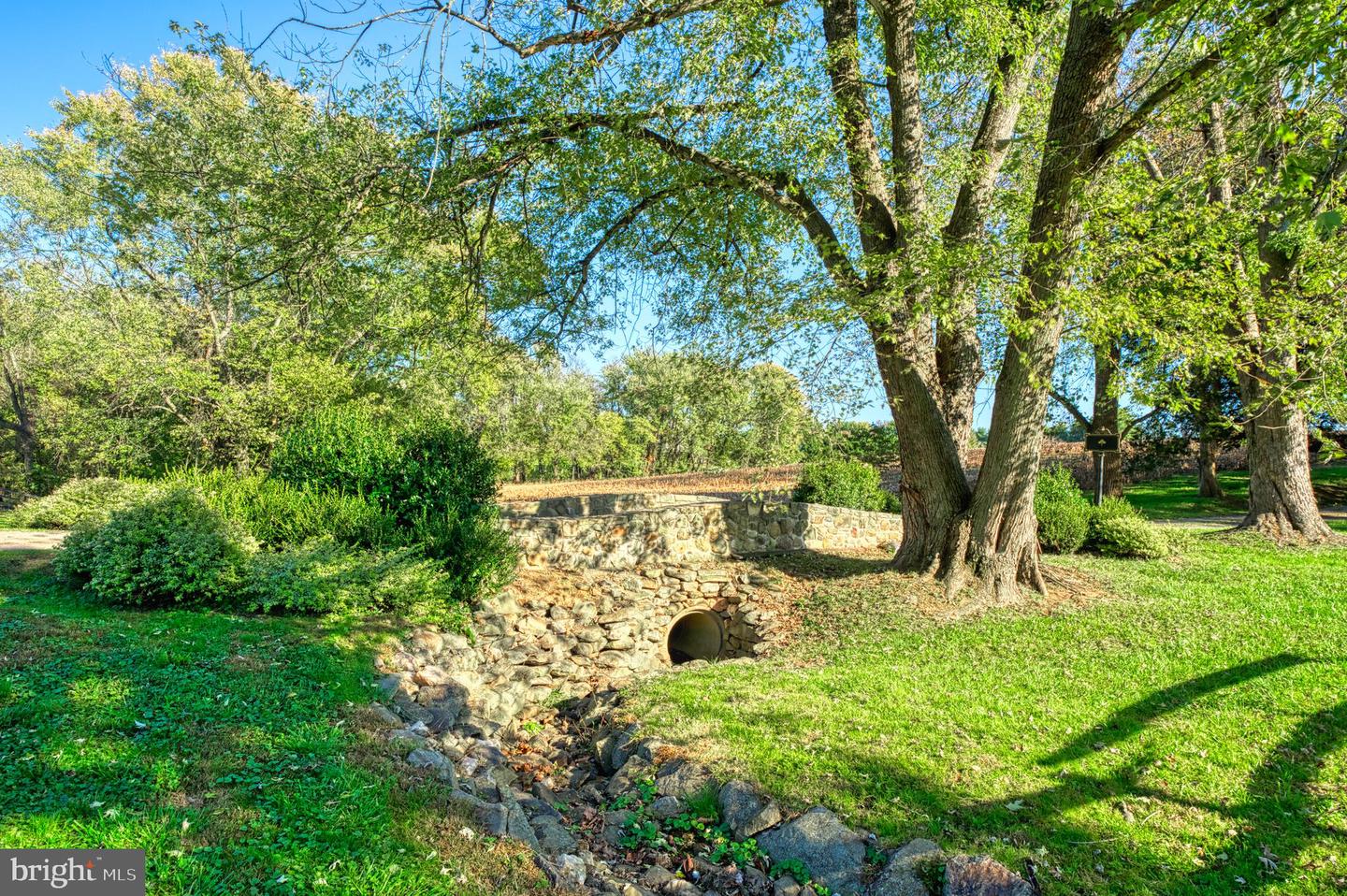 38678 PIGGOTT BOTTOM RD, HAMILTON, Virginia 20158, 4 Bedrooms Bedrooms, ,2 BathroomsBathrooms,Residential,For Sale,38678 PIGGOTT BOTTOM RD,VALO2088172 MLS # VALO2088172