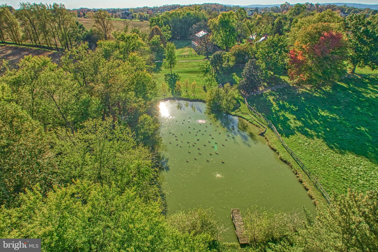 38678 PIGGOTT BOTTOM RD, HAMILTON, Virginia 20158, 4 Bedrooms Bedrooms, ,2 BathroomsBathrooms,Residential,For Sale,38678 PIGGOTT BOTTOM RD,VALO2088172 MLS # VALO2088172