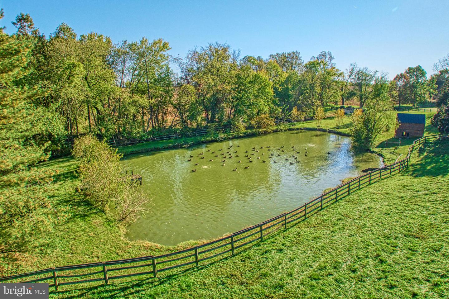 38678 PIGGOTT BOTTOM RD, HAMILTON, Virginia 20158, 4 Bedrooms Bedrooms, ,2 BathroomsBathrooms,Residential,For Sale,38678 PIGGOTT BOTTOM RD,VALO2088172 MLS # VALO2088172