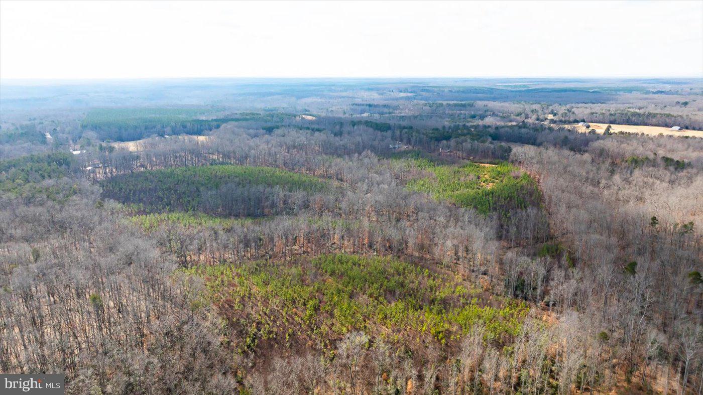 0 VAWTER CORNER, LOUISA, Virginia 23093, ,Land,For Sale,0 VAWTER CORNER,VALA2007294 MLS # VALA2007294 0 VAWTER CORNER, LOUISA, Virginia 23093, ,Land,For Sale,0 VAWTER CORNER,VALA2007294 MLS # VALA2007294