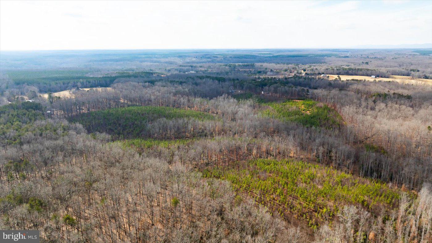 0 VAWTER CORNER, LOUISA, Virginia 23093, ,Land,For Sale,0 VAWTER CORNER,VALA2007294 MLS # VALA2007294 0 VAWTER CORNER, LOUISA, Virginia 23093, ,Land,For Sale,0 VAWTER CORNER,VALA2007294 MLS # VALA2007294