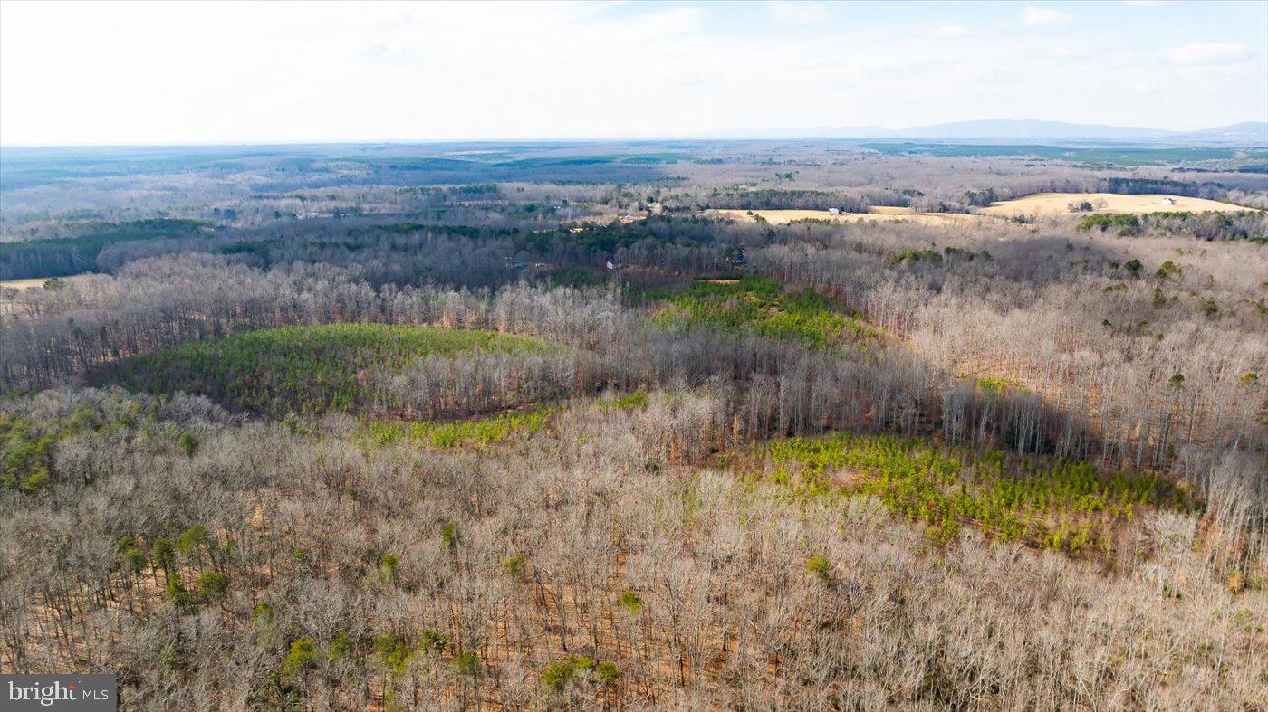 0 VAWTER CORNER, LOUISA, Virginia 23093, ,Land,For Sale,0 VAWTER CORNER,VALA2007294 MLS # VALA2007294 0 VAWTER CORNER, LOUISA, Virginia 23093, ,Land,For Sale,0 VAWTER CORNER,VALA2007294 MLS # VALA2007294