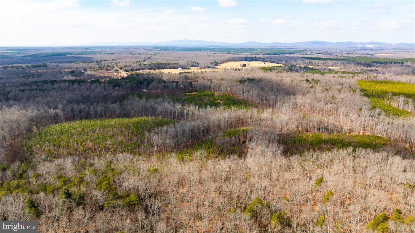 0 VAWTER CORNER, LOUISA, Virginia 23093, ,Land,For Sale,0 VAWTER CORNER,VALA2007294 MLS # VALA2007294 0 VAWTER CORNER, LOUISA, Virginia 23093, ,Land,For Sale,0 VAWTER CORNER,VALA2007294 MLS # VALA2007294
