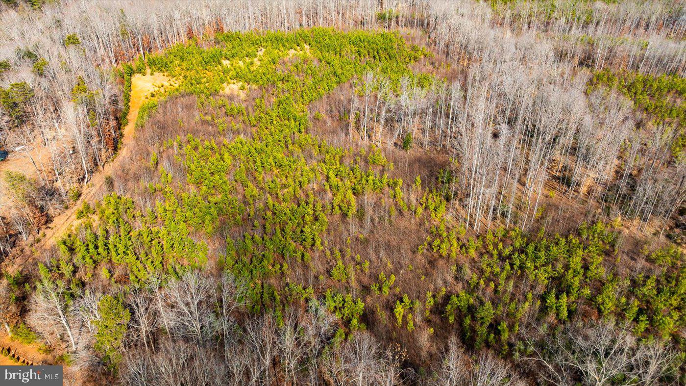 0 VAWTER CORNER, LOUISA, Virginia 23093, ,Land,For Sale,0 VAWTER CORNER,VALA2007294 MLS # VALA2007294 0 VAWTER CORNER, LOUISA, Virginia 23093, ,Land,For Sale,0 VAWTER CORNER,VALA2007294 MLS # VALA2007294