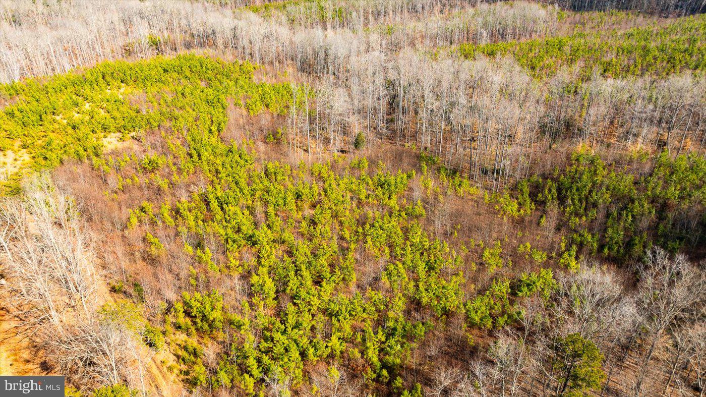 0 VAWTER CORNER, LOUISA, Virginia 23093, ,Land,For Sale,0 VAWTER CORNER,VALA2007294 MLS # VALA2007294 0 VAWTER CORNER, LOUISA, Virginia 23093, ,Land,For Sale,0 VAWTER CORNER,VALA2007294 MLS # VALA2007294