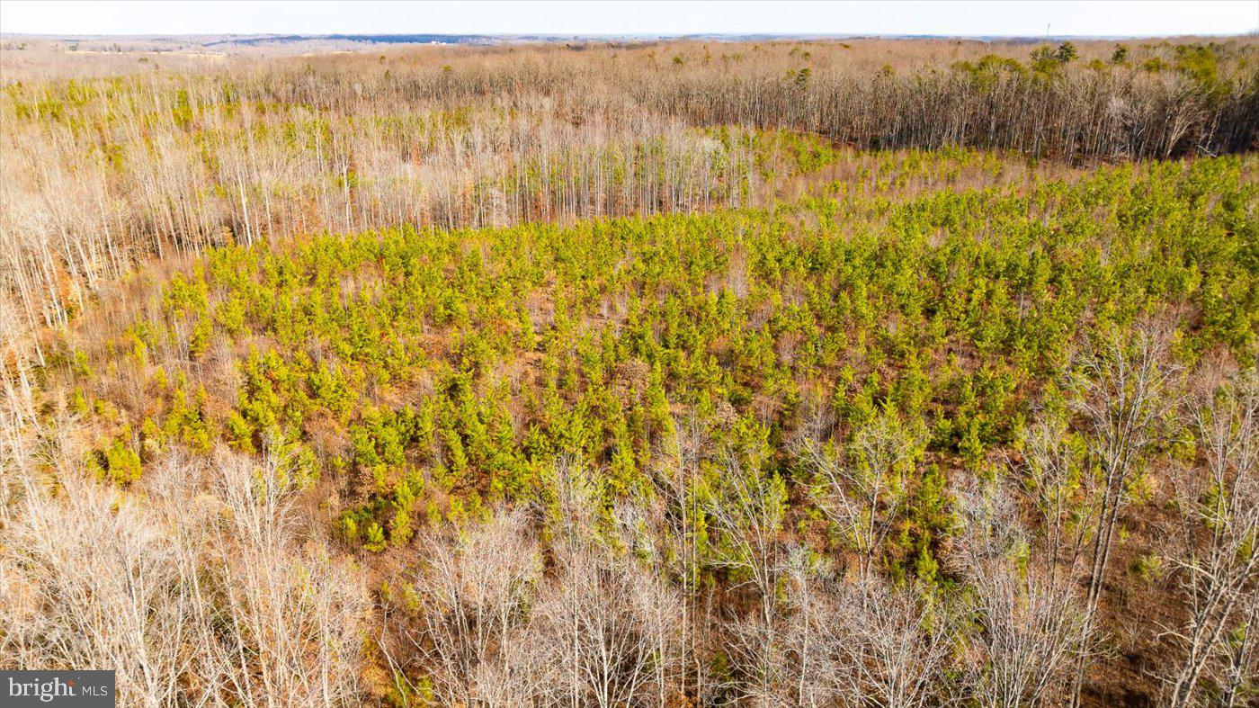 0 VAWTER CORNER, LOUISA, Virginia 23093, ,Land,For Sale,0 VAWTER CORNER,VALA2007294 MLS # VALA2007294 0 VAWTER CORNER, LOUISA, Virginia 23093, ,Land,For Sale,0 VAWTER CORNER,VALA2007294 MLS # VALA2007294