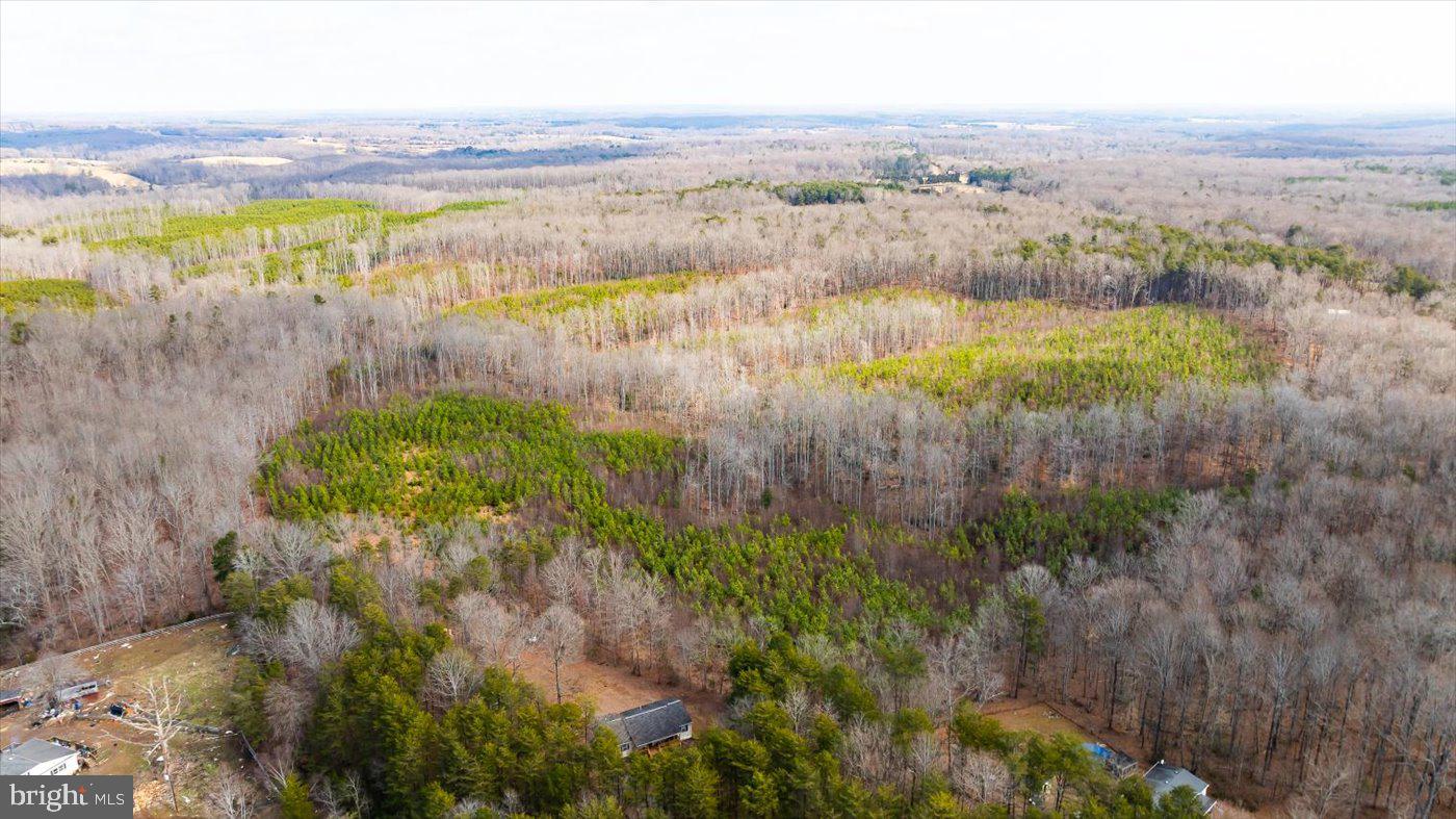 0 VAWTER CORNER, LOUISA, Virginia 23093, ,Land,For Sale,0 VAWTER CORNER,VALA2007294 MLS # VALA2007294 0 VAWTER CORNER, LOUISA, Virginia 23093, ,Land,For Sale,0 VAWTER CORNER,VALA2007294 MLS # VALA2007294