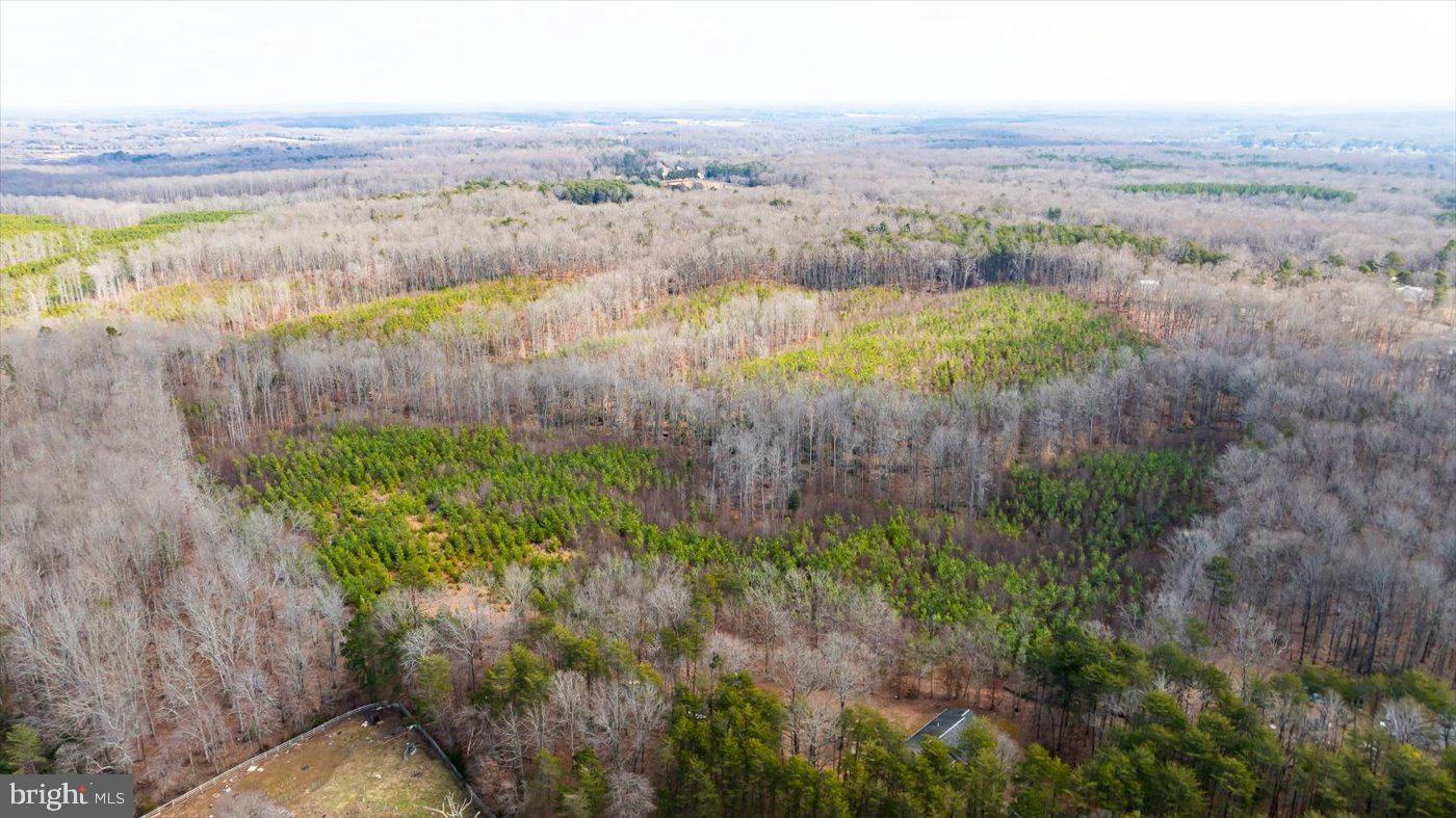 0 VAWTER CORNER, LOUISA, Virginia 23093, ,Land,For Sale,0 VAWTER CORNER,VALA2007294 MLS # VALA2007294 0 VAWTER CORNER, LOUISA, Virginia 23093, ,Land,For Sale,0 VAWTER CORNER,VALA2007294 MLS # VALA2007294