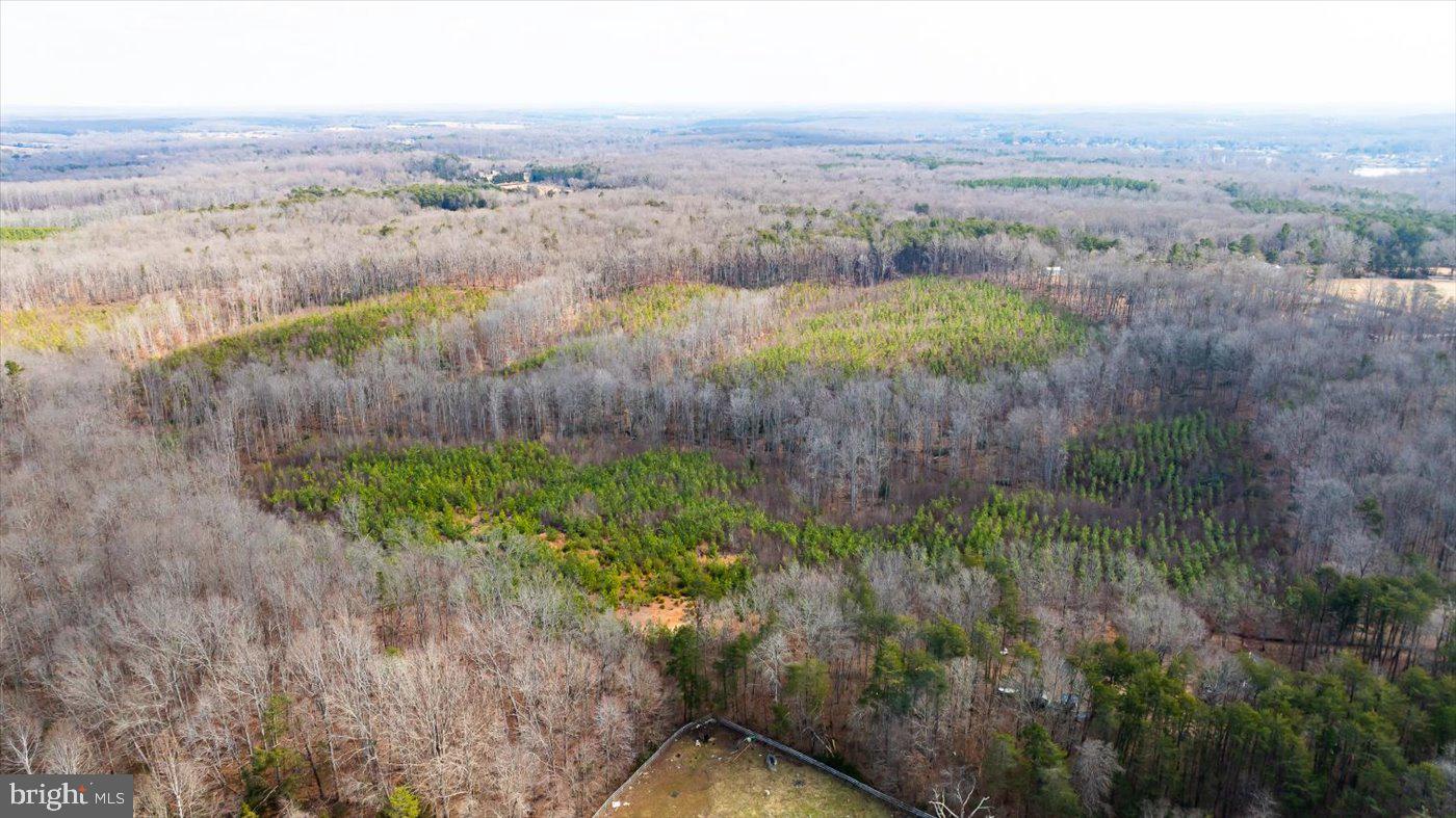 0 VAWTER CORNER, LOUISA, Virginia 23093, ,Land,For Sale,0 VAWTER CORNER,VALA2007294 MLS # VALA2007294 0 VAWTER CORNER, LOUISA, Virginia 23093, ,Land,For Sale,0 VAWTER CORNER,VALA2007294 MLS # VALA2007294