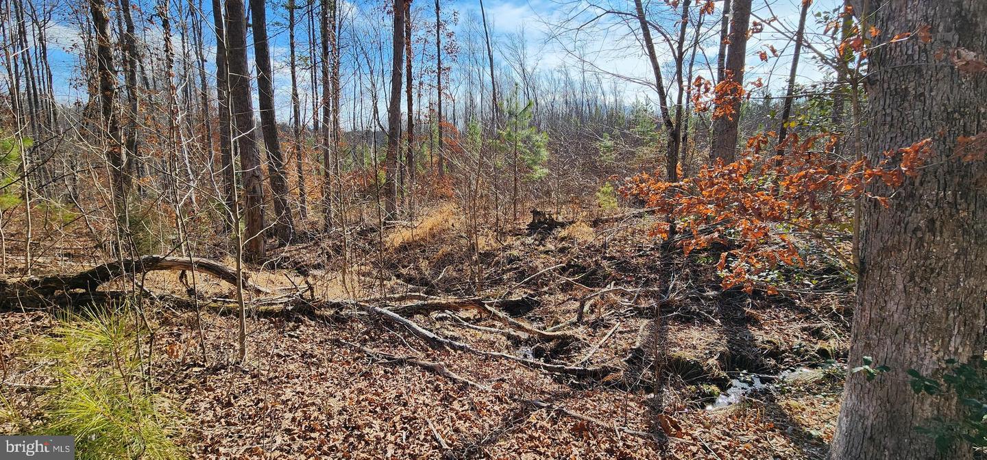 0 VAWTER CORNER, LOUISA, Virginia 23093, ,Land,For Sale,0 VAWTER CORNER,VALA2007294 MLS # VALA2007294 0 VAWTER CORNER, LOUISA, Virginia 23093, ,Land,For Sale,0 VAWTER CORNER,VALA2007294 MLS # VALA2007294