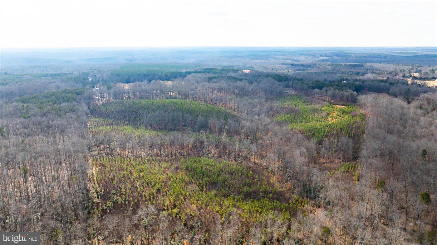 0 VAWTER CORNER, LOUISA, Virginia 23093, ,Land,For Sale,0 VAWTER CORNER,VALA2007294 MLS # VALA2007294 0 VAWTER CORNER, LOUISA, Virginia 23093, ,Land,For Sale,0 VAWTER CORNER,VALA2007294 MLS # VALA2007294