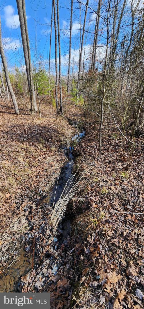 0 VAWTER CORNER, LOUISA, Virginia 23093, ,Land,For Sale,0 VAWTER CORNER,VALA2007294 MLS # VALA2007294 0 VAWTER CORNER, LOUISA, Virginia 23093, ,Land,For Sale,0 VAWTER CORNER,VALA2007294 MLS # VALA2007294