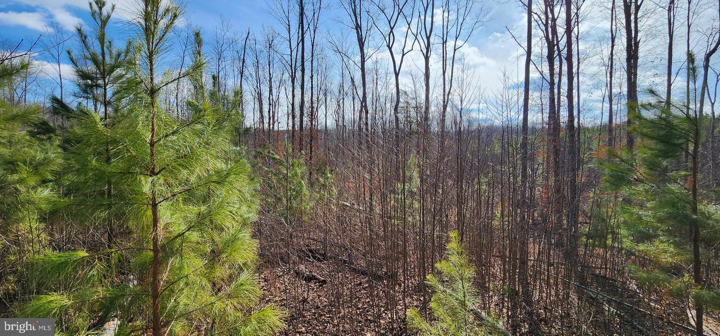0 VAWTER CORNER, LOUISA, Virginia 23093, ,Land,For Sale,0 VAWTER CORNER,VALA2007294 MLS # VALA2007294 0 VAWTER CORNER, LOUISA, Virginia 23093, ,Land,For Sale,0 VAWTER CORNER,VALA2007294 MLS # VALA2007294