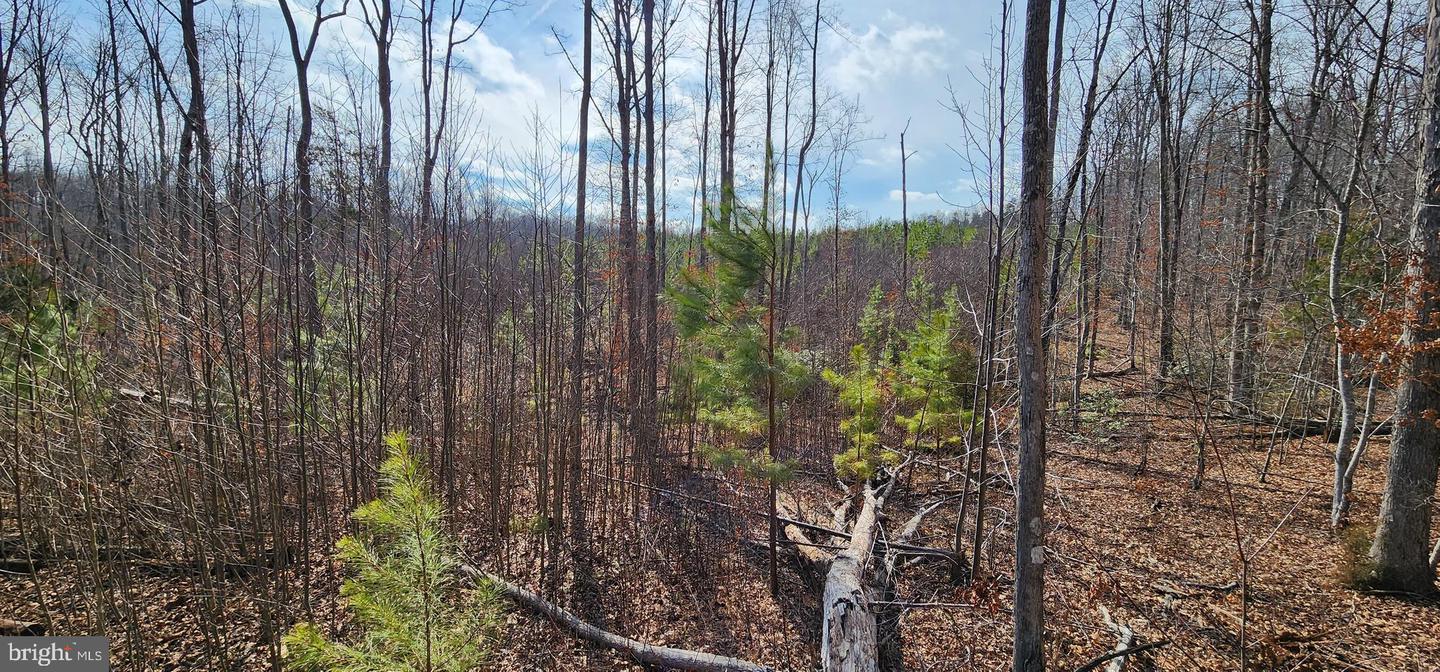 0 VAWTER CORNER, LOUISA, Virginia 23093, ,Land,For Sale,0 VAWTER CORNER,VALA2007294 MLS # VALA2007294 0 VAWTER CORNER, LOUISA, Virginia 23093, ,Land,For Sale,0 VAWTER CORNER,VALA2007294 MLS # VALA2007294