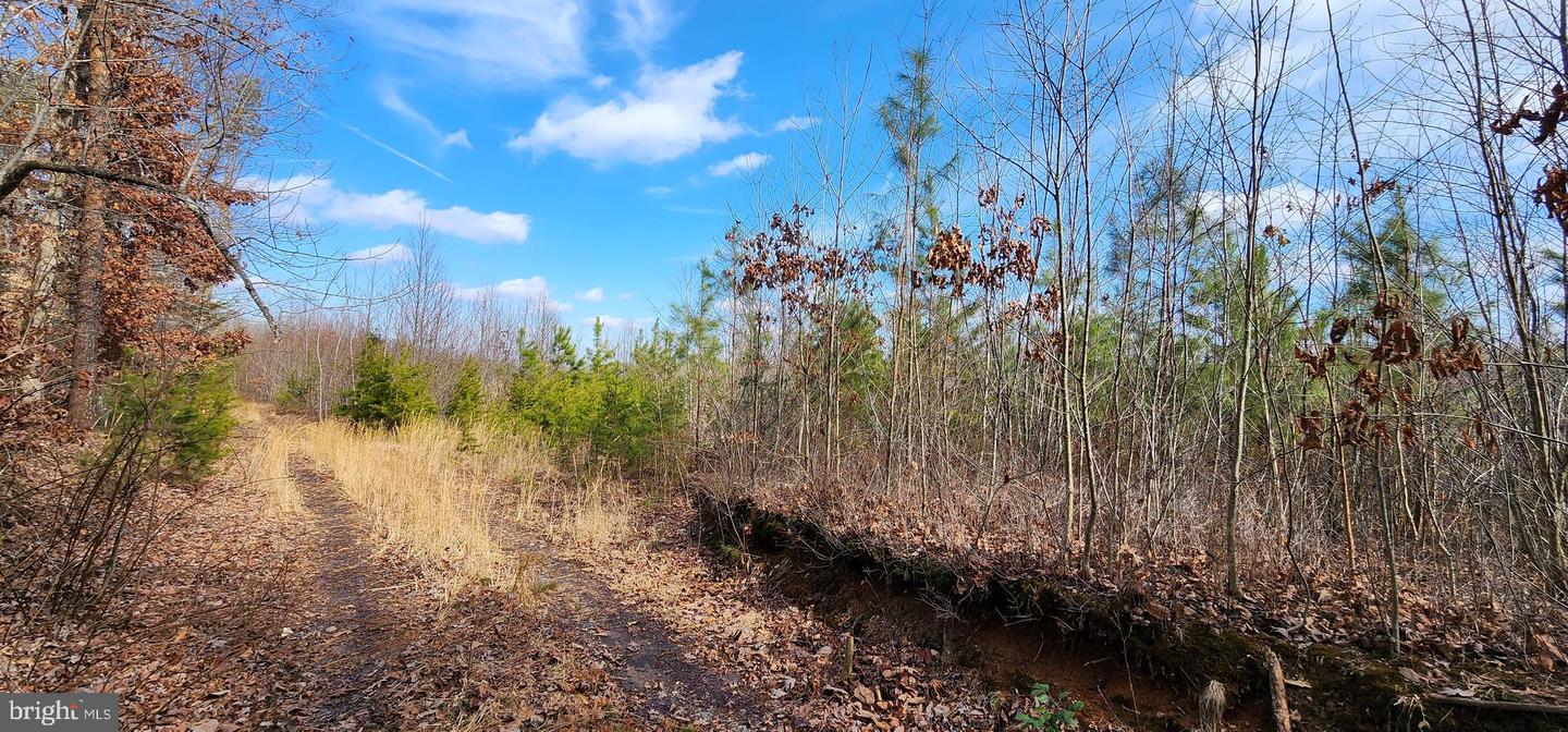 0 VAWTER CORNER, LOUISA, Virginia 23093, ,Land,For Sale,0 VAWTER CORNER,VALA2007294 MLS # VALA2007294 0 VAWTER CORNER, LOUISA, Virginia 23093, ,Land,For Sale,0 VAWTER CORNER,VALA2007294 MLS # VALA2007294