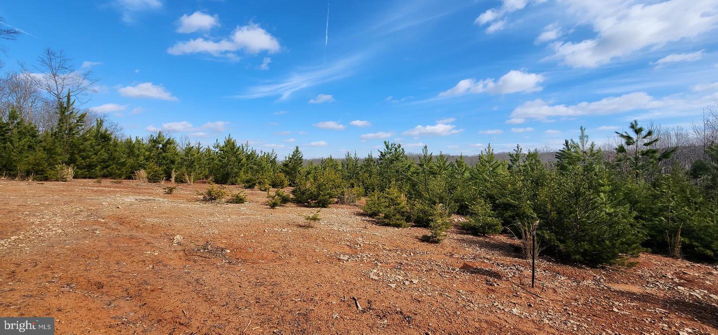 0 VAWTER CORNER, LOUISA, Virginia 23093, ,Land,For Sale,0 VAWTER CORNER,VALA2007294 MLS # VALA2007294 0 VAWTER CORNER, LOUISA, Virginia 23093, ,Land,For Sale,0 VAWTER CORNER,VALA2007294 MLS # VALA2007294