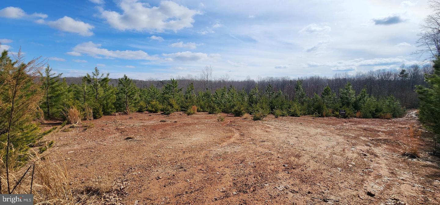 0 VAWTER CORNER, LOUISA, Virginia 23093, ,Land,For Sale,0 VAWTER CORNER,VALA2007294 MLS # VALA2007294 0 VAWTER CORNER, LOUISA, Virginia 23093, ,Land,For Sale,0 VAWTER CORNER,VALA2007294 MLS # VALA2007294