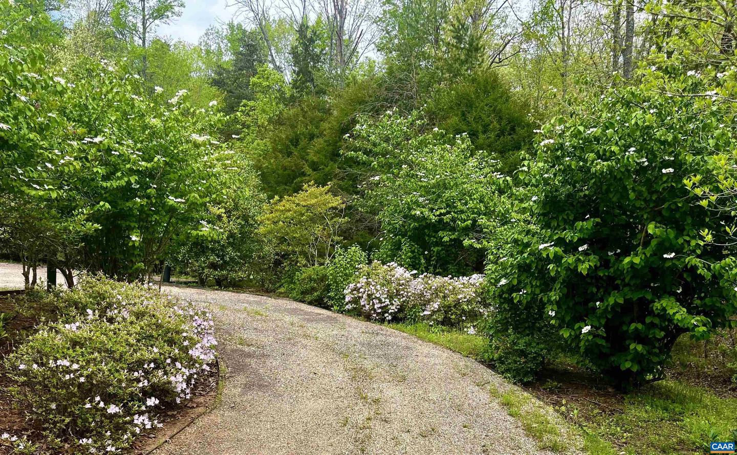 2621 COOPERS LN, CHARLOTTESVILLE, Virginia 22902, 5 Bedrooms Bedrooms, ,6 BathroomsBathrooms,Residential,For Sale,2621 COOPERS LN,648822 MLS # 648822 2621 COOPERS LN, CHARLOTTESVILLE, Virginia 22902, 5 Bedrooms Bedrooms, ,6 BathroomsBathrooms,Residential,For Sale,2621 COOPERS LN,648822 MLS # 648822