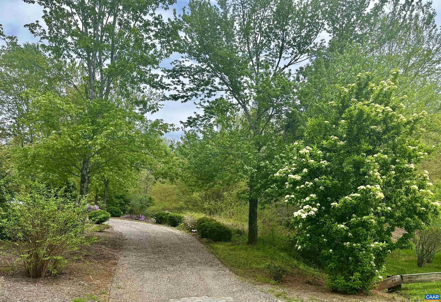 2621 COOPERS LN, CHARLOTTESVILLE, Virginia 22902, 5 Bedrooms Bedrooms, ,6 BathroomsBathrooms,Residential,For Sale,2621 COOPERS LN,648822 MLS # 648822 2621 COOPERS LN, CHARLOTTESVILLE, Virginia 22902, 5 Bedrooms Bedrooms, ,6 BathroomsBathrooms,Residential,For Sale,2621 COOPERS LN,648822 MLS # 648822