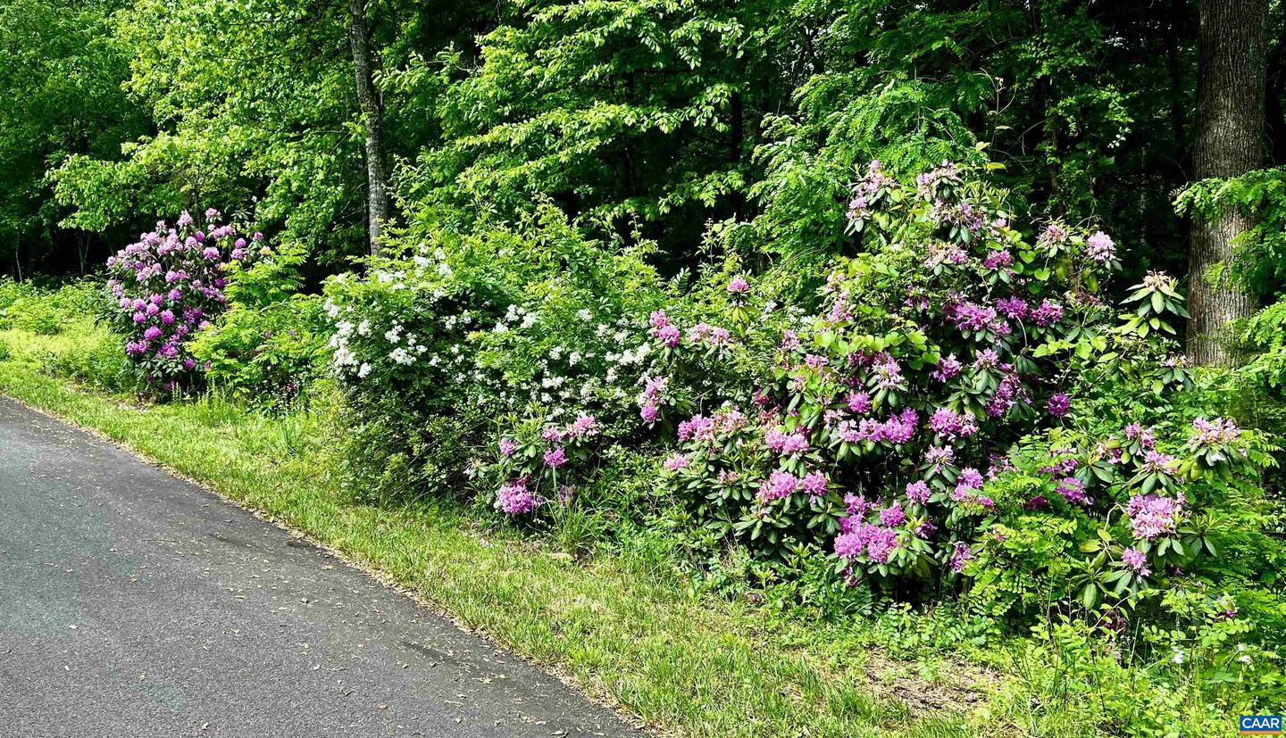 2621 COOPERS LN, CHARLOTTESVILLE, Virginia 22902, 5 Bedrooms Bedrooms, ,6 BathroomsBathrooms,Residential,For Sale,2621 COOPERS LN,648822 MLS # 648822 2621 COOPERS LN, CHARLOTTESVILLE, Virginia 22902, 5 Bedrooms Bedrooms, ,6 BathroomsBathrooms,Residential,For Sale,2621 COOPERS LN,648822 MLS # 648822