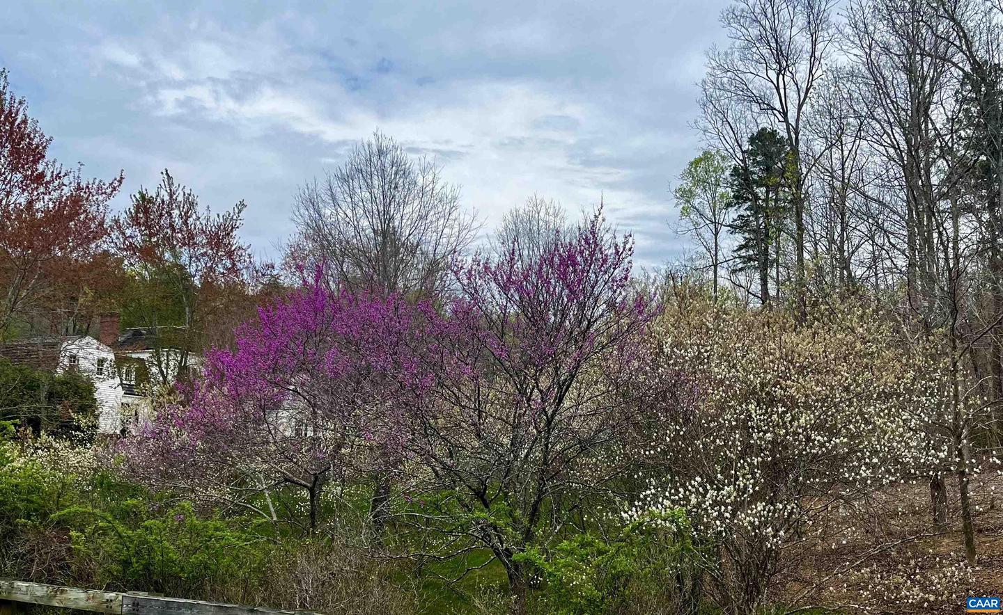 2621 COOPERS LN, CHARLOTTESVILLE, Virginia 22902, 5 Bedrooms Bedrooms, ,6 BathroomsBathrooms,Residential,For Sale,2621 COOPERS LN,648822 MLS # 648822 2621 COOPERS LN, CHARLOTTESVILLE, Virginia 22902, 5 Bedrooms Bedrooms, ,6 BathroomsBathrooms,Residential,For Sale,2621 COOPERS LN,648822 MLS # 648822