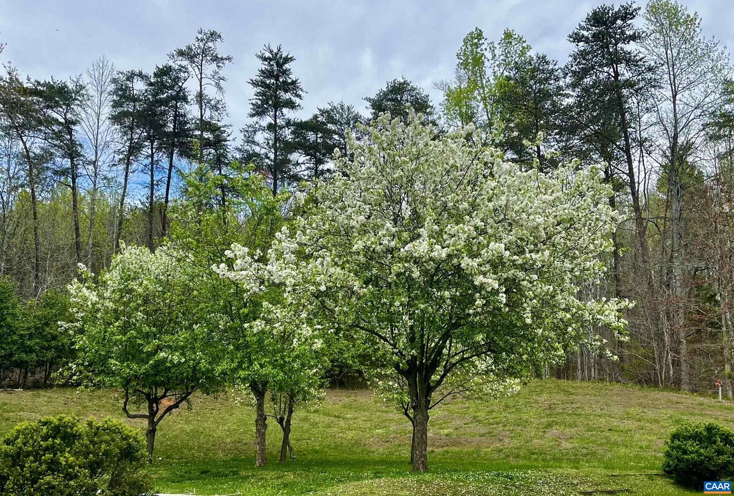 2621 COOPERS LN, CHARLOTTESVILLE, Virginia 22902, 5 Bedrooms Bedrooms, ,6 BathroomsBathrooms,Residential,For Sale,2621 COOPERS LN,648822 MLS # 648822 2621 COOPERS LN, CHARLOTTESVILLE, Virginia 22902, 5 Bedrooms Bedrooms, ,6 BathroomsBathrooms,Residential,For Sale,2621 COOPERS LN,648822 MLS # 648822