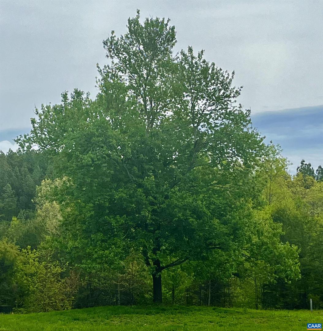 2621 COOPERS LN, CHARLOTTESVILLE, Virginia 22902, 5 Bedrooms Bedrooms, ,6 BathroomsBathrooms,Residential,For Sale,2621 COOPERS LN,648822 MLS # 648822 2621 COOPERS LN, CHARLOTTESVILLE, Virginia 22902, 5 Bedrooms Bedrooms, ,6 BathroomsBathrooms,Residential,For Sale,2621 COOPERS LN,648822 MLS # 648822