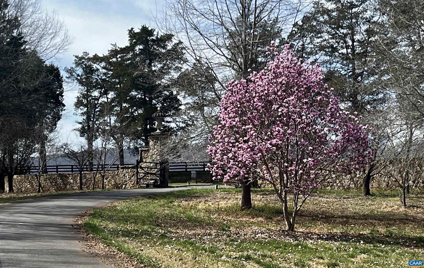 2621 COOPERS LN, CHARLOTTESVILLE, Virginia 22902, 5 Bedrooms Bedrooms, ,6 BathroomsBathrooms,Residential,For Sale,2621 COOPERS LN,648822 MLS # 648822 2621 COOPERS LN, CHARLOTTESVILLE, Virginia 22902, 5 Bedrooms Bedrooms, ,6 BathroomsBathrooms,Residential,For Sale,2621 COOPERS LN,648822 MLS # 648822