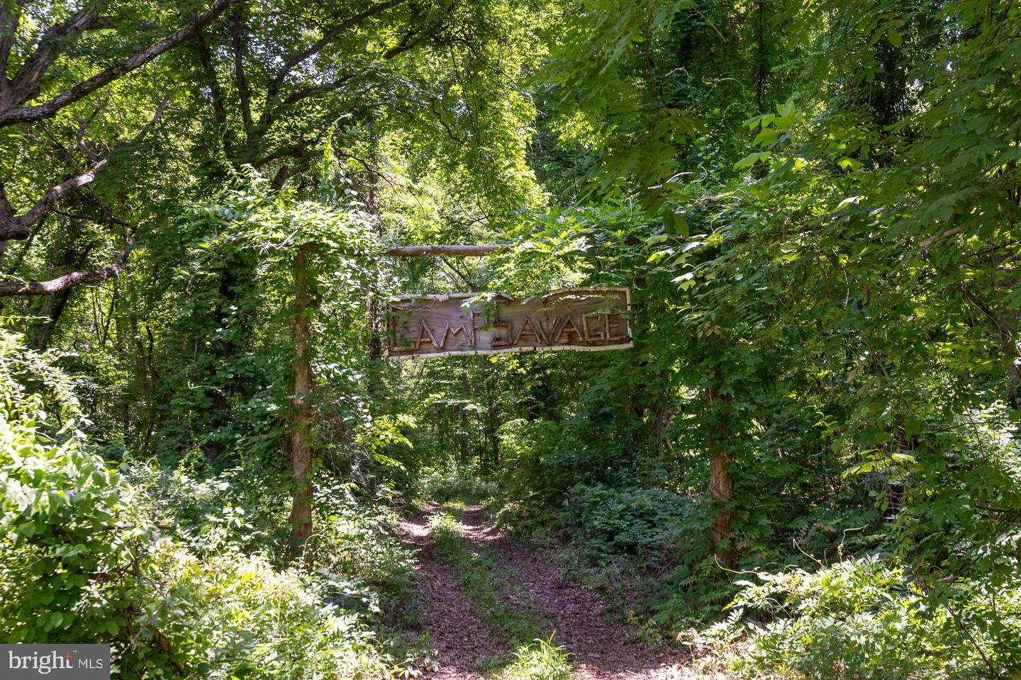 4320 BROWNTOWN RD, FRONT ROYAL, Virginia 22630, 4 Bedrooms Bedrooms, ,2 BathroomsBathrooms,Residential,For Sale,4320 BROWNTOWN RD,VAWR2010900 MLS # VAWR2010900