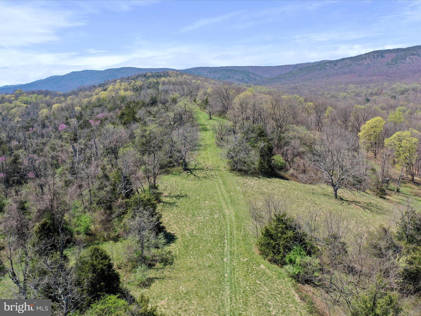 1639 SUGAR HILL RD, MAURERTOWN, Virginia 22644, 4 Bedrooms Bedrooms, ,4 BathroomsBathrooms,Residential,For Sale,1639 SUGAR HILL RD,VASH2011156 MLS # VASH2011156