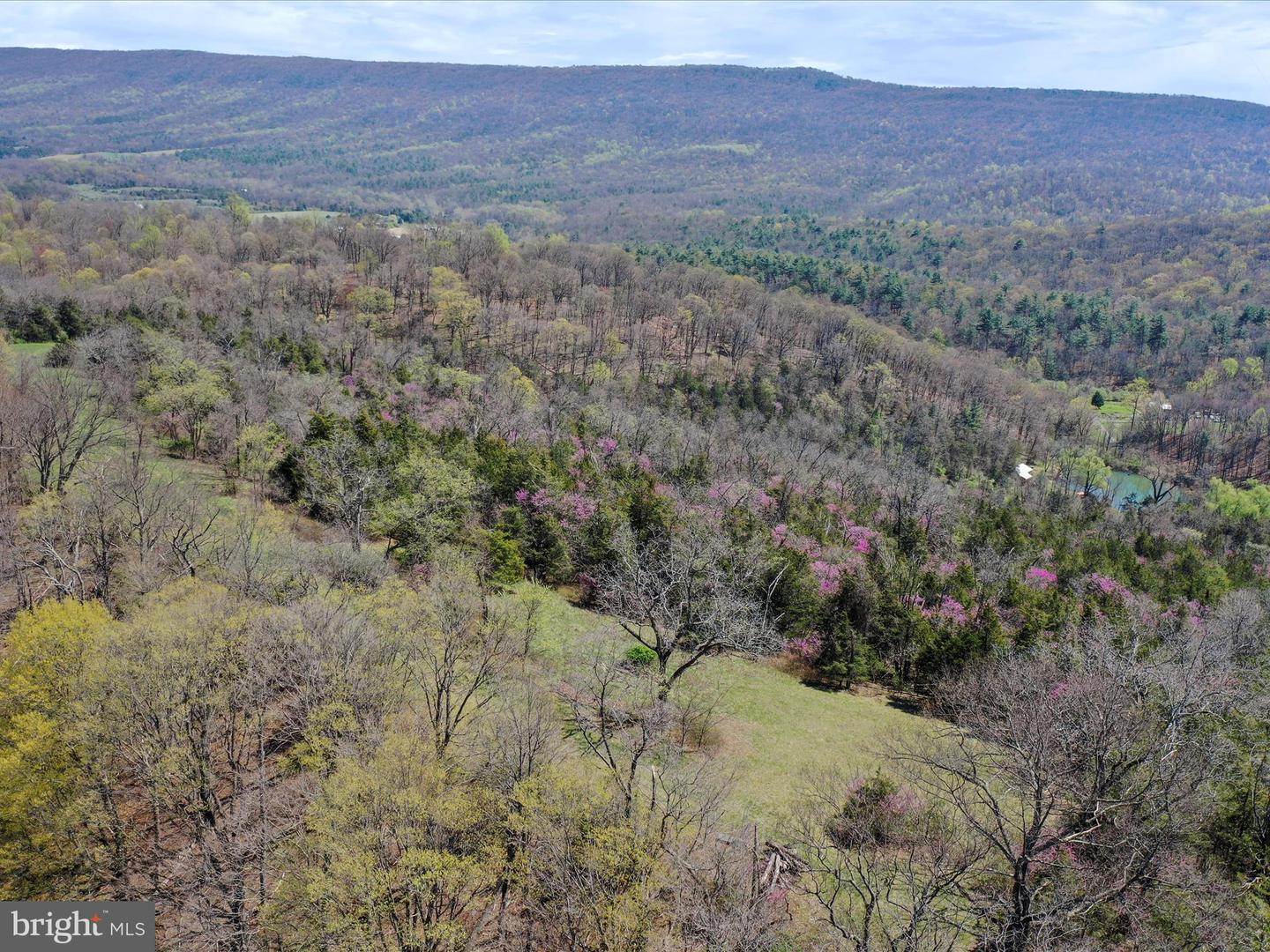 1639 SUGAR HILL RD, MAURERTOWN, Virginia 22644, 4 Bedrooms Bedrooms, ,4 BathroomsBathrooms,Residential,For Sale,1639 SUGAR HILL RD,VASH2011156 MLS # VASH2011156