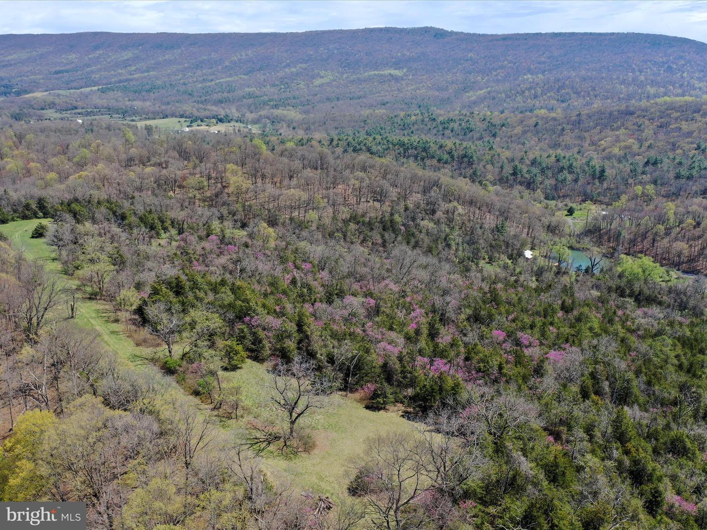 1639 SUGAR HILL RD, MAURERTOWN, Virginia 22644, 4 Bedrooms Bedrooms, ,4 BathroomsBathrooms,Residential,For Sale,1639 SUGAR HILL RD,VASH2011156 MLS # VASH2011156