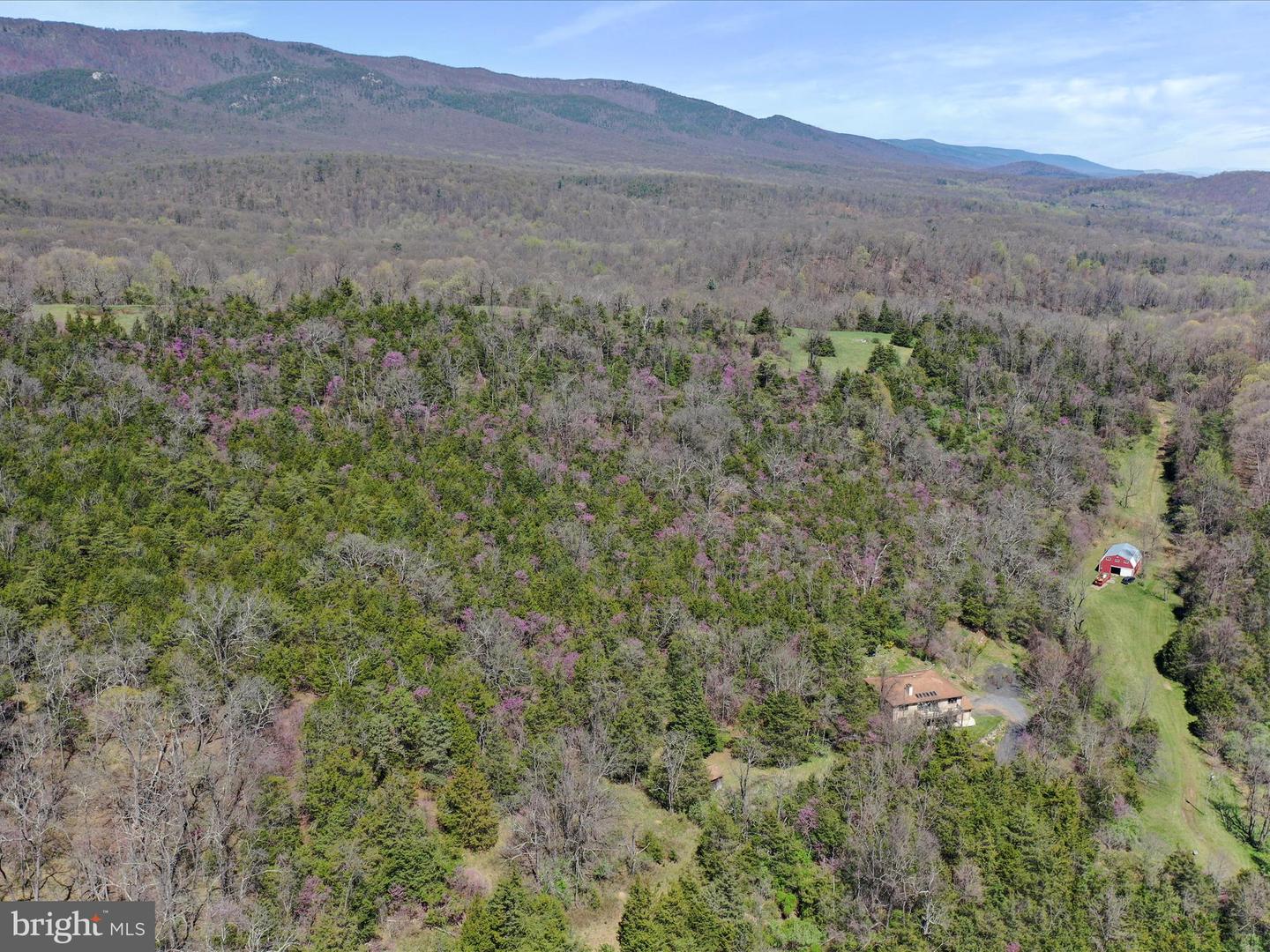 1639 SUGAR HILL RD, MAURERTOWN, Virginia 22644, 4 Bedrooms Bedrooms, ,4 BathroomsBathrooms,Residential,For Sale,1639 SUGAR HILL RD,VASH2011156 MLS # VASH2011156