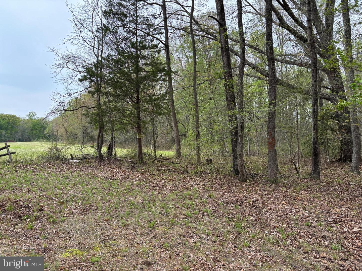 0 PAIGE RD, WOODFORD, Virginia 22580, ,Farm,For Sale,0 PAIGE RD,VACV2007992 MLS # VACV2007992