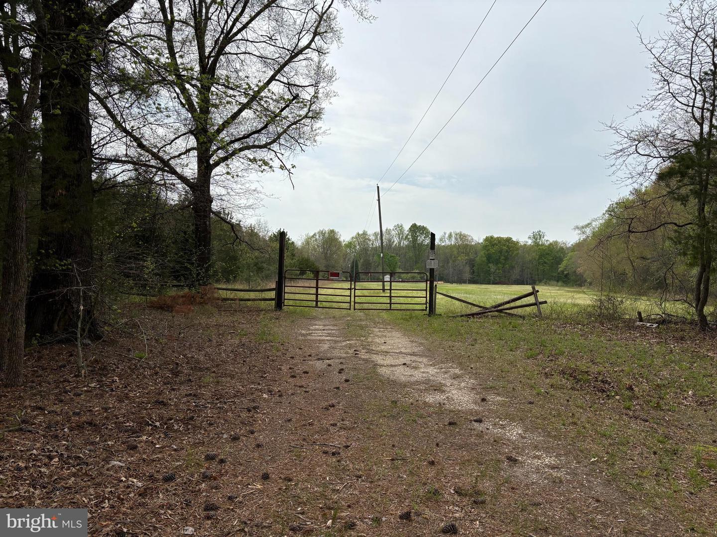 0 PAIGE RD, WOODFORD, Virginia 22580, ,Farm,For Sale,0 PAIGE RD,VACV2007992 MLS # VACV2007992