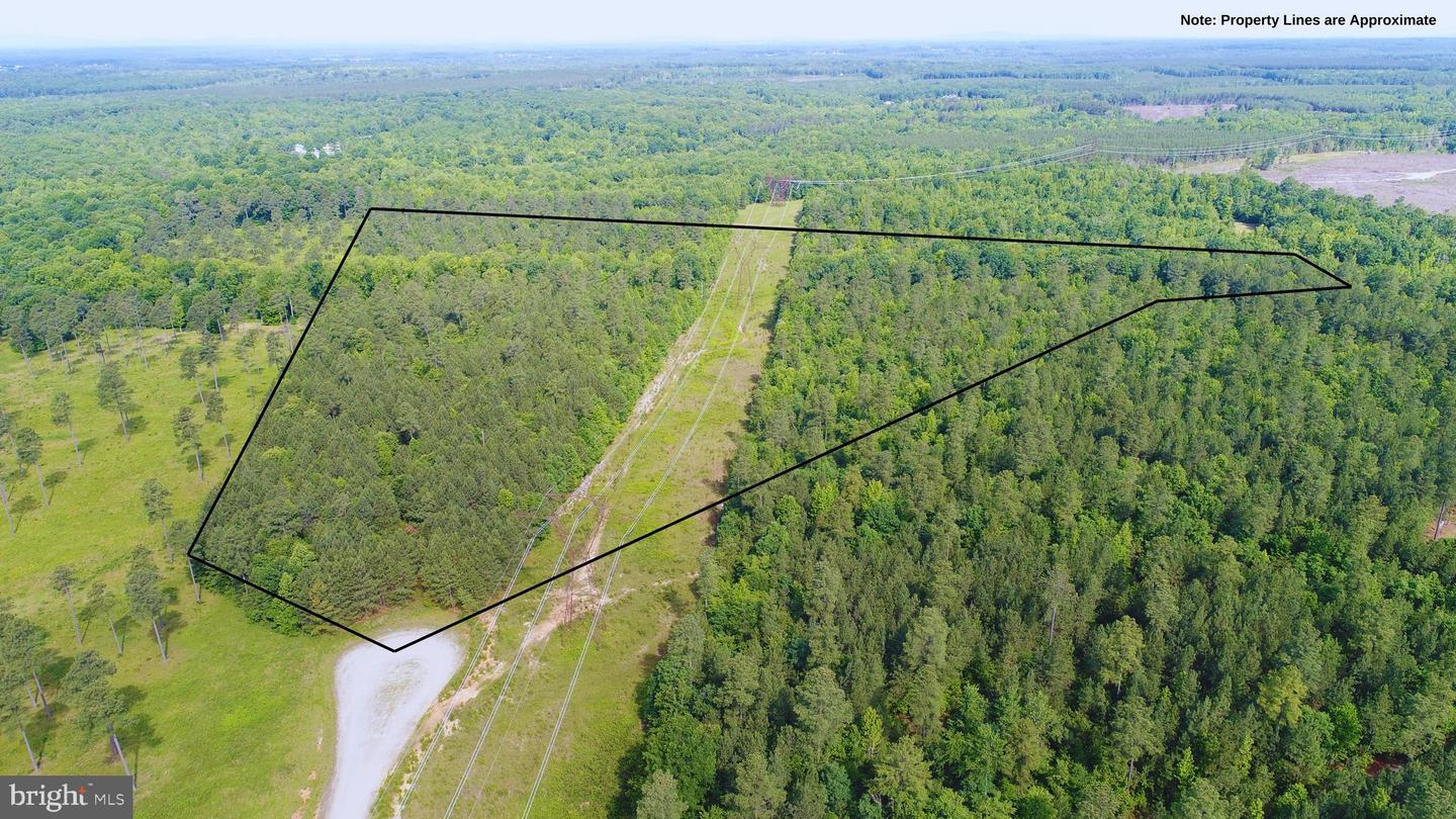 13251 BROOKE RIDGE LN, SPOTSYLVANIA, Virginia 22551, ,Land,For Sale,13251 BROOKE RIDGE LN,VASP2032500 MLS # VASP2032500 13251 BROOKE RIDGE LN, SPOTSYLVANIA, Virginia 22551, ,Land,For Sale,13251 BROOKE RIDGE LN,VASP2032500 MLS # VASP2032500