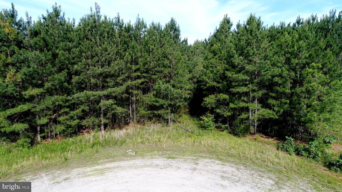 13251 BROOKE RIDGE LN, SPOTSYLVANIA, Virginia 22551, ,Land,For Sale,13251 BROOKE RIDGE LN,VASP2032500 MLS # VASP2032500 13251 BROOKE RIDGE LN, SPOTSYLVANIA, Virginia 22551, ,Land,For Sale,13251 BROOKE RIDGE LN,VASP2032500 MLS # VASP2032500