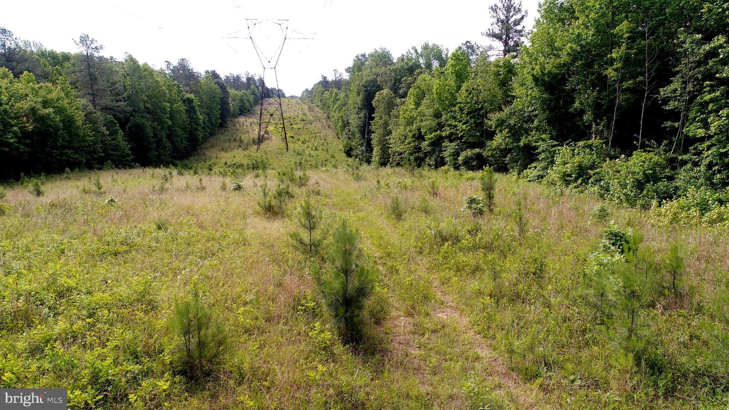 13251 BROOKE RIDGE LN, SPOTSYLVANIA, Virginia 22551, ,Land,For Sale,13251 BROOKE RIDGE LN,VASP2032500 MLS # VASP2032500 13251 BROOKE RIDGE LN, SPOTSYLVANIA, Virginia 22551, ,Land,For Sale,13251 BROOKE RIDGE LN,VASP2032500 MLS # VASP2032500