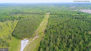 13251 BROOKE RIDGE LN SPOTSYLVANIA Virginia 22551