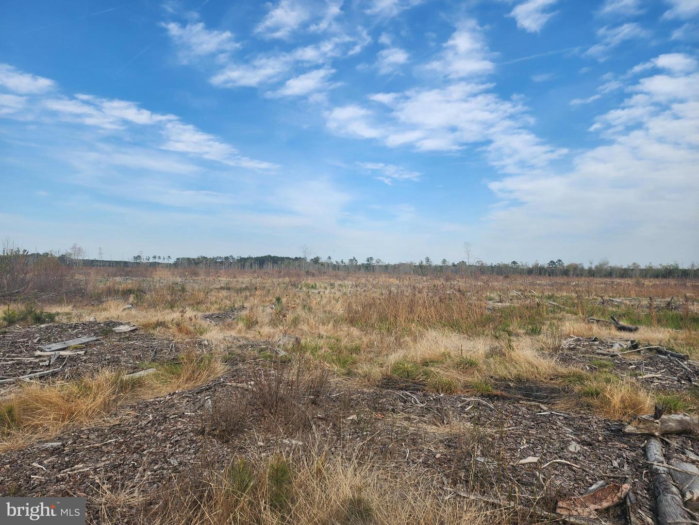 41 SAXIS ROAD, TEMPERANCEVILLE, Virginia 23442, ,Farm,For Sale,41 SAXIS ROAD,VAAC2001806 MLS # VAAC2001806 41 SAXIS ROAD, TEMPERANCEVILLE, Virginia 23442, ,Farm,For Sale,41 SAXIS ROAD,VAAC2001806 MLS # VAAC2001806