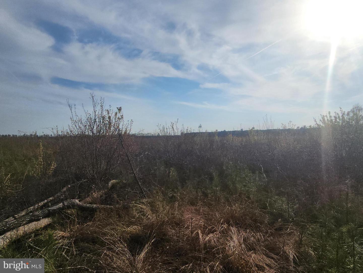 41 SAXIS ROAD, TEMPERANCEVILLE, Virginia 23442, ,Farm,For Sale,41 SAXIS ROAD,VAAC2001806 MLS # VAAC2001806 41 SAXIS ROAD, TEMPERANCEVILLE, Virginia 23442, ,Farm,For Sale,41 SAXIS ROAD,VAAC2001806 MLS # VAAC2001806