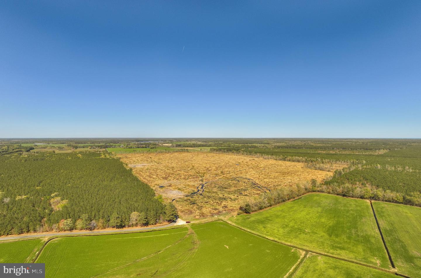 41 SAXIS ROAD, TEMPERANCEVILLE, Virginia 23442, ,Farm,For Sale,41 SAXIS ROAD,VAAC2001806 MLS # VAAC2001806 41 SAXIS ROAD, TEMPERANCEVILLE, Virginia 23442, ,Farm,For Sale,41 SAXIS ROAD,VAAC2001806 MLS # VAAC2001806