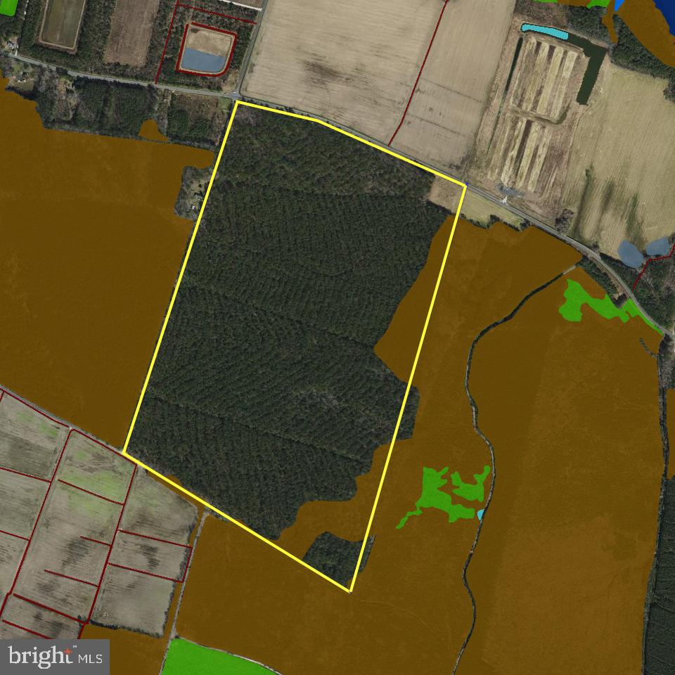 41 SAXIS ROAD, TEMPERANCEVILLE, Virginia 23442, ,Farm,For Sale,41 SAXIS ROAD,VAAC2001806 MLS # VAAC2001806 41 SAXIS ROAD, TEMPERANCEVILLE, Virginia 23442, ,Farm,For Sale,41 SAXIS ROAD,VAAC2001806 MLS # VAAC2001806