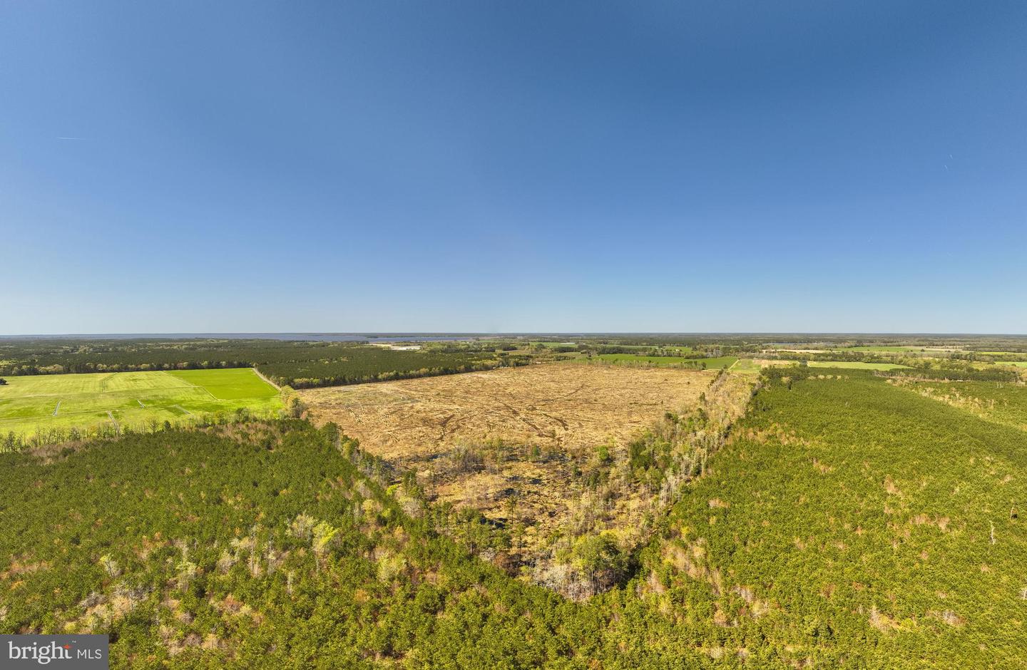 41 SAXIS ROAD, TEMPERANCEVILLE, Virginia 23442, ,Farm,For Sale,41 SAXIS ROAD,VAAC2001806 MLS # VAAC2001806 41 SAXIS ROAD, TEMPERANCEVILLE, Virginia 23442, ,Farm,For Sale,41 SAXIS ROAD,VAAC2001806 MLS # VAAC2001806