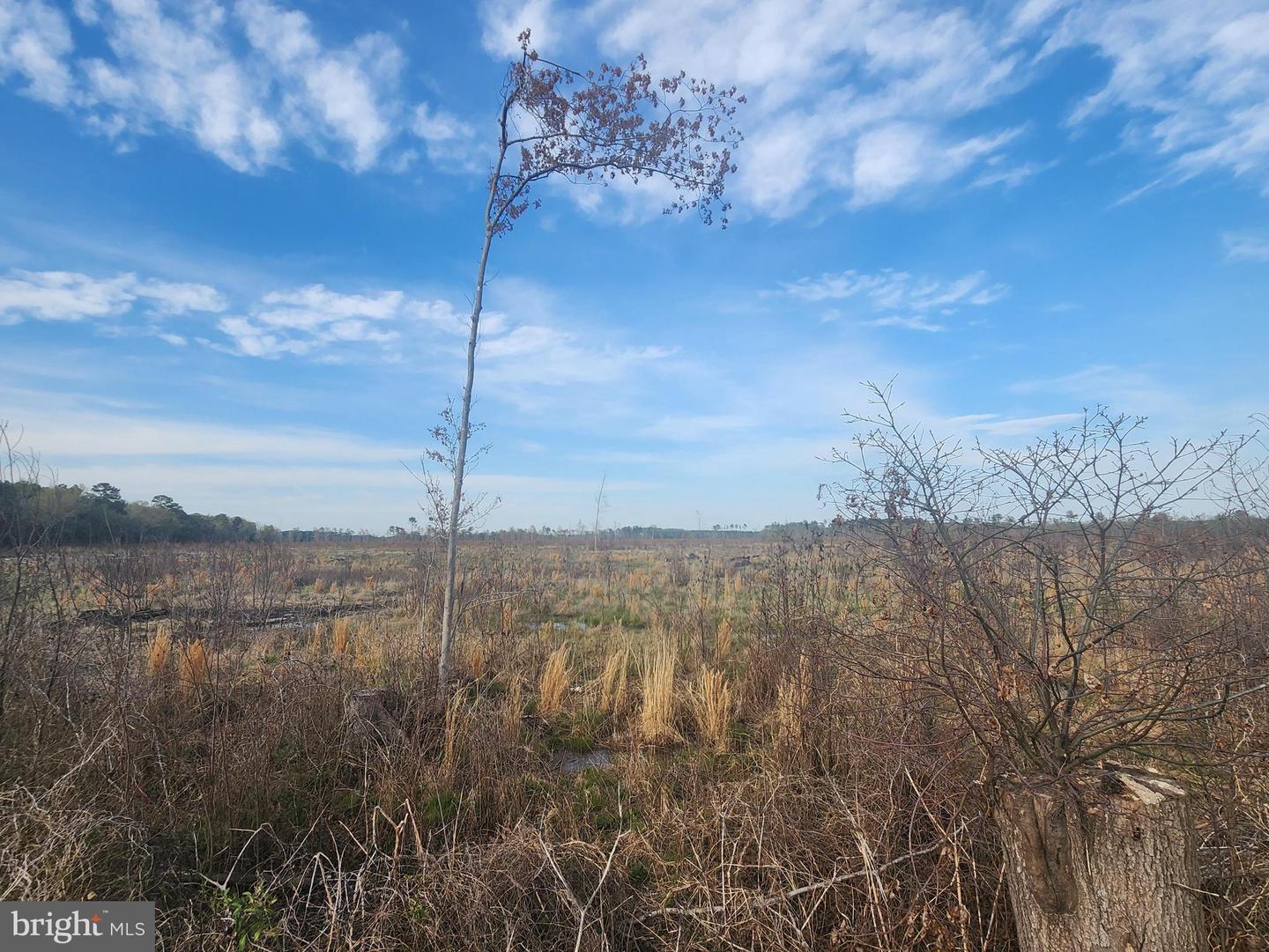 41 SAXIS ROAD, TEMPERANCEVILLE, Virginia 23442, ,Farm,For Sale,41 SAXIS ROAD,VAAC2001806 MLS # VAAC2001806 41 SAXIS ROAD, TEMPERANCEVILLE, Virginia 23442, ,Farm,For Sale,41 SAXIS ROAD,VAAC2001806 MLS # VAAC2001806