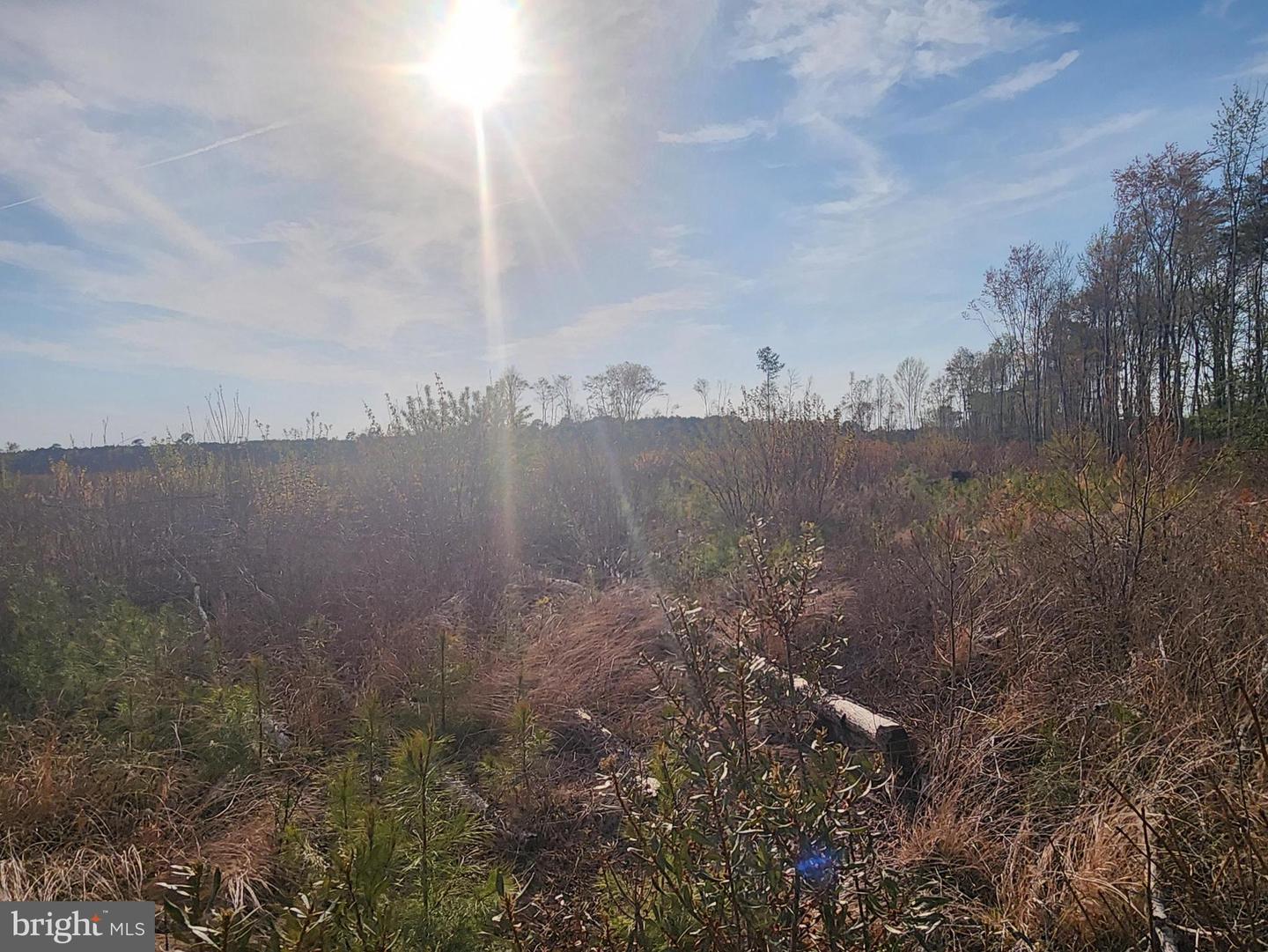 41 SAXIS ROAD, TEMPERANCEVILLE, Virginia 23442, ,Farm,For Sale,41 SAXIS ROAD,VAAC2001806 MLS # VAAC2001806 41 SAXIS ROAD, TEMPERANCEVILLE, Virginia 23442, ,Farm,For Sale,41 SAXIS ROAD,VAAC2001806 MLS # VAAC2001806