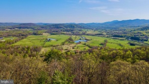 REDIVIVA LN WASHINGTON Virginia 22747