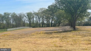LANGHORNE SCOTTSVILLE Virginia 24590
